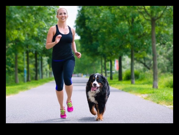 Köpek Kardiyo: Mutlu, Sağlıklı Bir Köpek için Eğlence ve Fitness