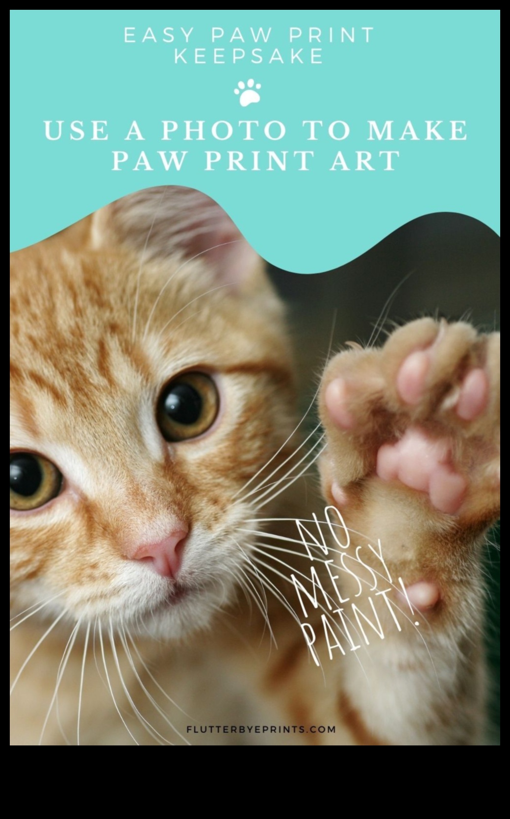 Paws and Print: Kedinizle Sanatsal Hatıralar Yaratmak