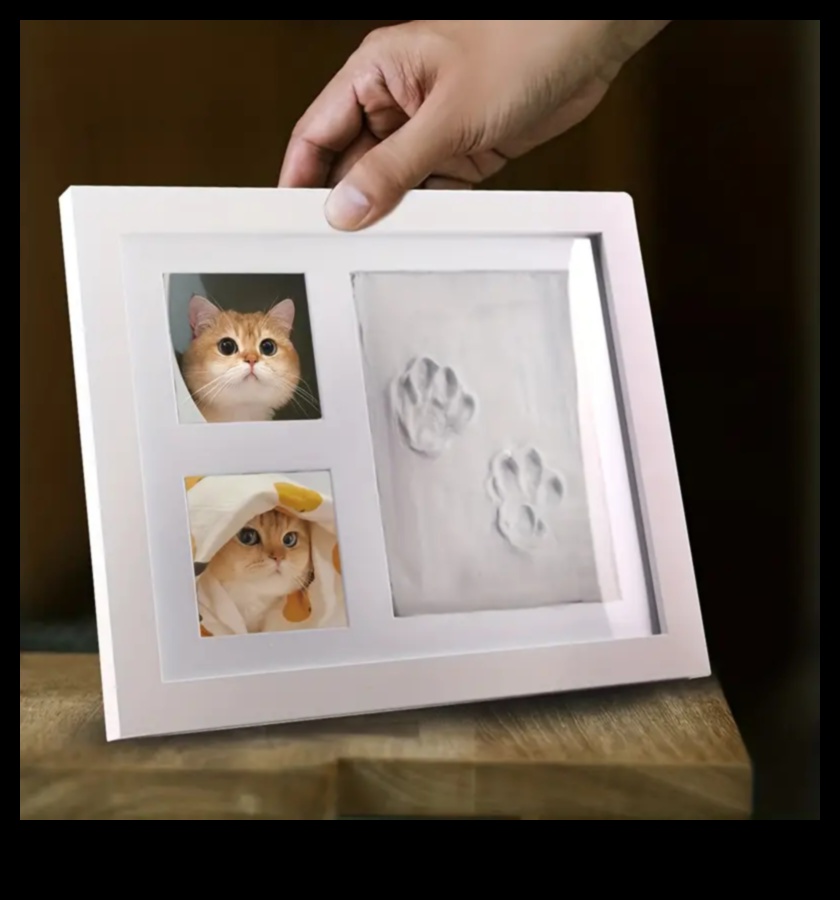 Paws and Print: Kedinizle Sanatsal Hatıralar Yaratmak