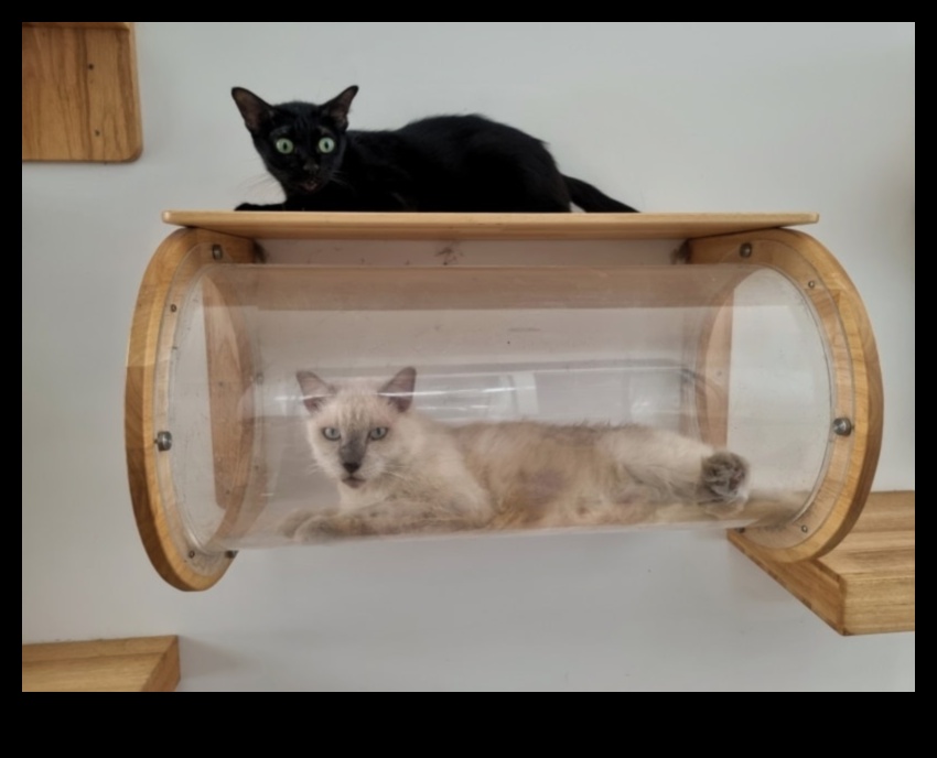 DIY Kedi Mobilyaları Devamı: Kediniz için Şık ve Yaratıcı Tasarımlar