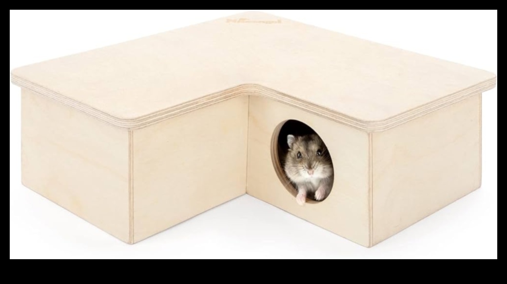 Hamster sakalıları devam etti: temalı ve rahat yuvalama fikirleri