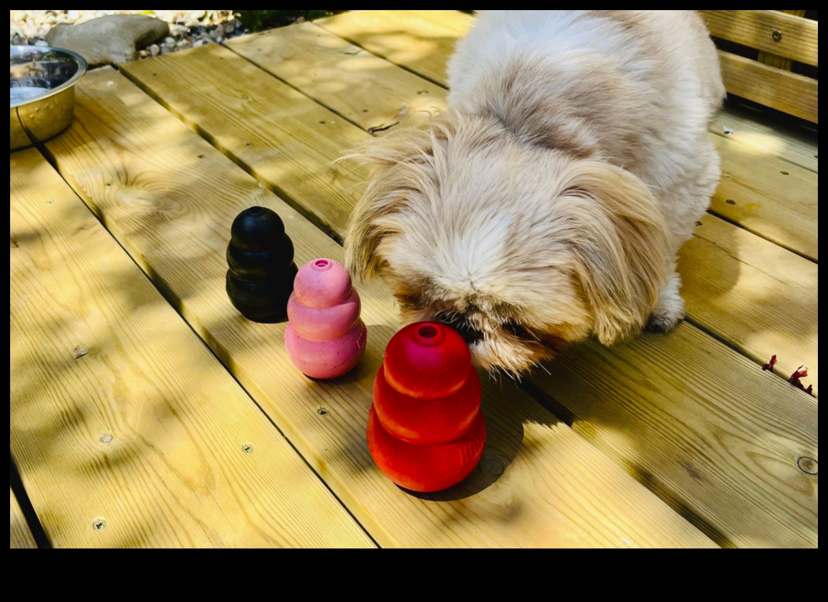 Getişin Ötesinde: Mutlu ve Sağlıklı Bir Köpek İçin Oyunları Uyarmak