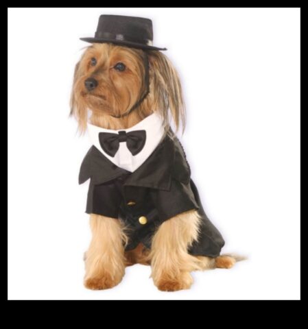 Dapper Doggies DIY Pet Giyim ve Aksesuarlar